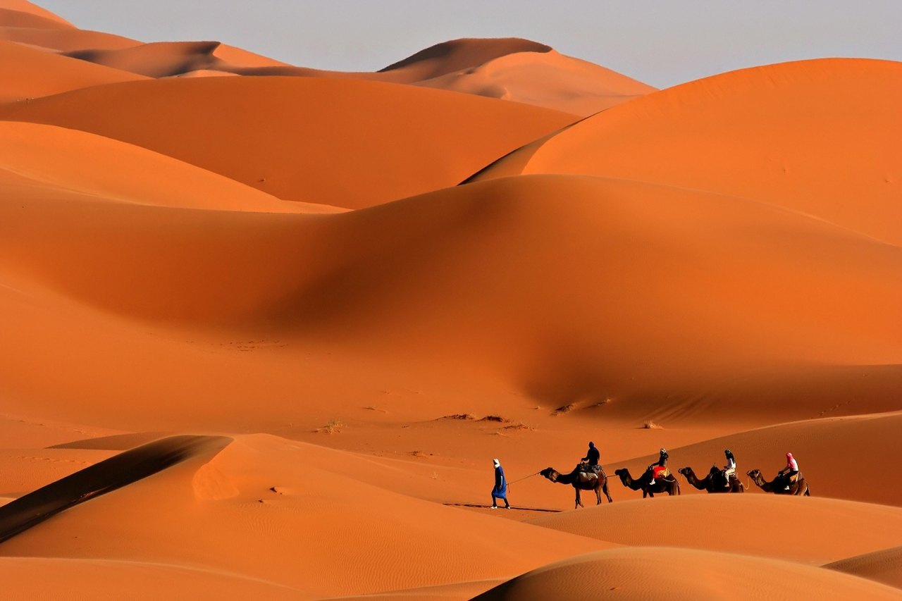 Camel caravan crossing the Erg Chebbi dunes in Merzouga